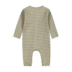 Dirkje Boxpak Light Faded Green 44> Boxpakjes