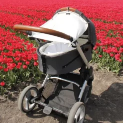 Dooky Black><noscript><img width=