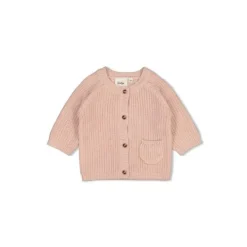 Feetje Vestje Gebreid The Magic is in You Roze 56> Vestjes