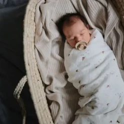 Frigg Fopspeen Rope Cream/Croissant T1 0-6 mnd (2 stuks)><noscript><img width=