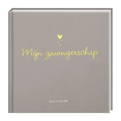 Imagebooks Hello Little One Invulboek Mijn Zwangerschap> Boeken