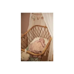 Jollein Slaapzak Zomer Jersey Sun Wild Rose 70cm><noscript><img width=