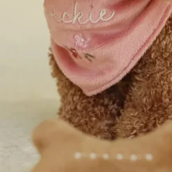 Little Dutch Knuffelhond Jackie In Tas><noscript><img width=