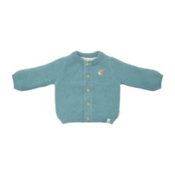 Little Dutch Vestje Gebreid - Maat 62 - Baby Blue> Vestjes